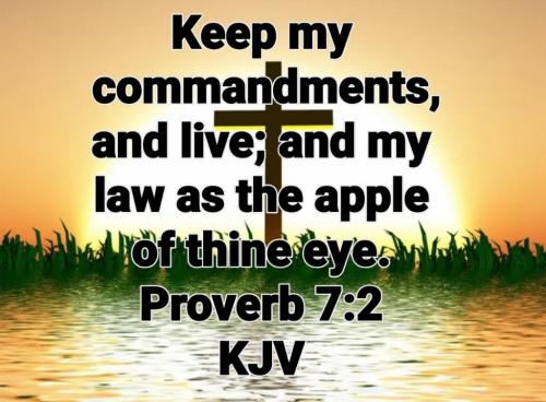 04:29:52 GMT-0700 (PDT)