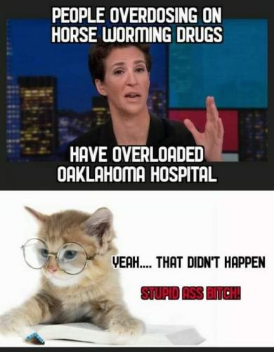 FB_IMG_1630976618773