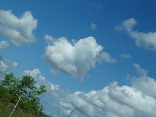 FB_IMG_1632679805797