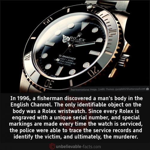 242578053_4275443749234441_3891609748993162628_n