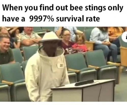 bee_stings_protection