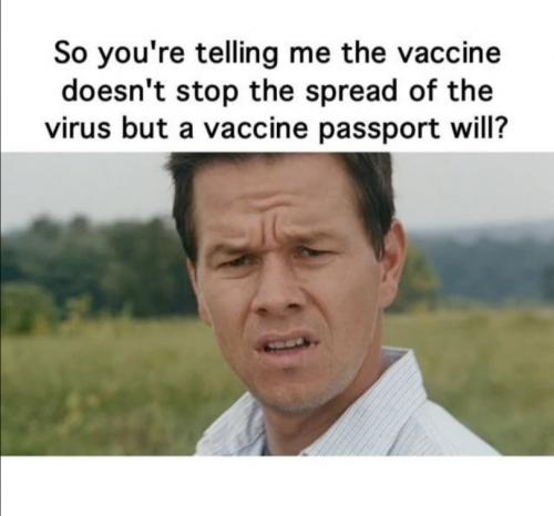 image_1631188017.034