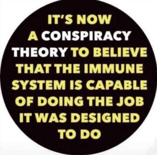 Immune systems from God