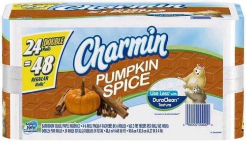 pumpkin spice14