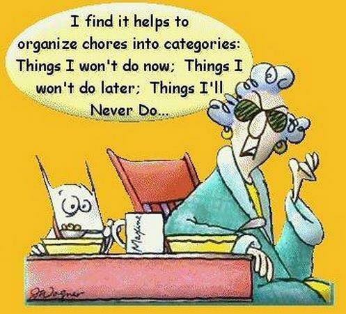 241046673_3994908067287432_2046006606525805526_n