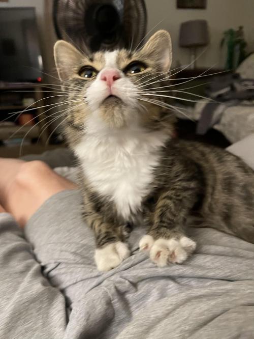 292209A2-F55E-4FCD-A2E5-4FFBD4BAC5AB