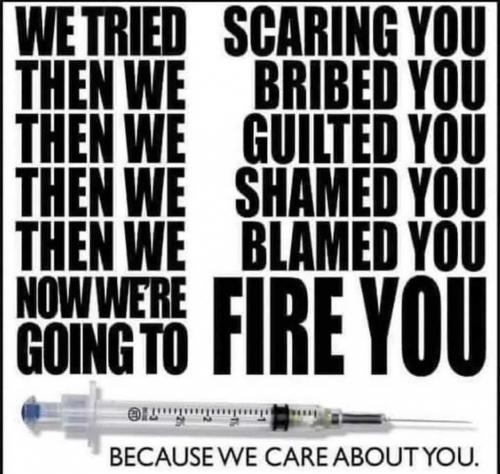 XIjmvuxBavBXWoZrYF6i_20_d7546f0a3727e528d4455c22454c1d9e_image