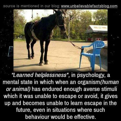 20:58:23 GMT-0500 (CDT)