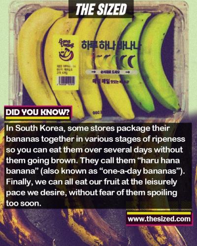 243487656_393430538889936_3690122084658555848_n