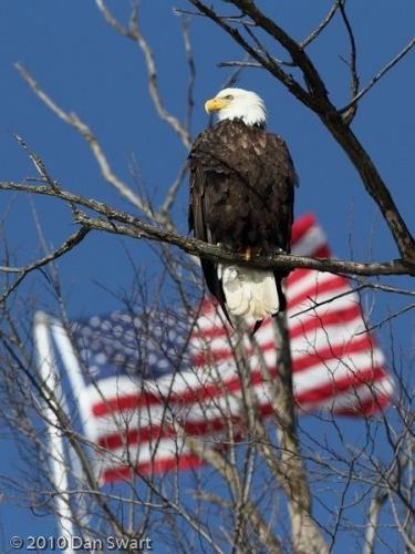 19:44:06 GMT-0500 (CDT)