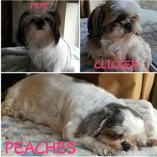 result_1599633889130