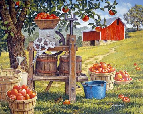 242230309_410808557069279_835590475205851460_n