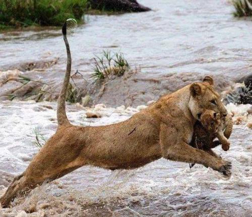 13680965_10204959209460142_5932903977120012102_n