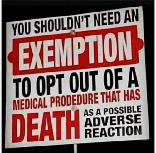 FB_IMG_1632824416029