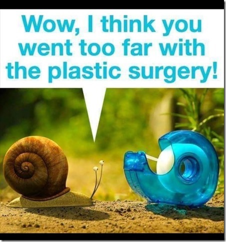 Plastic surgery[3]