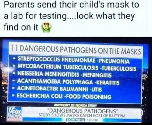 PATHOGENS ON MASKS
