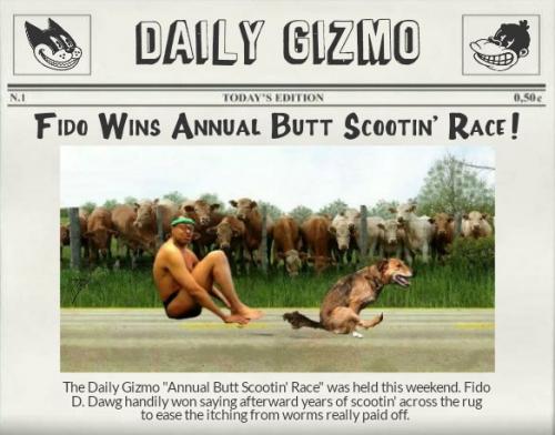 Daily Gizmo - Butt Scootin Race