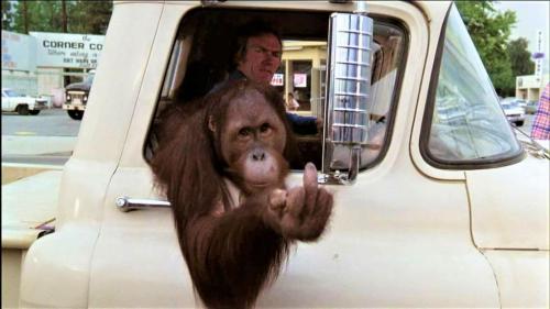 fix g morning f Clyde