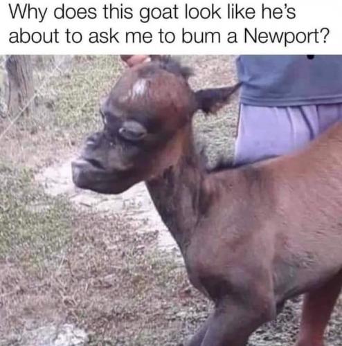 21:27:32 GMT-0500 (CDT)