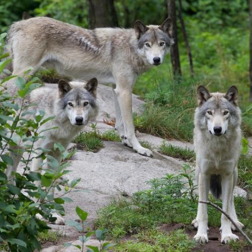 tumblr_a0cabba053b883a65c2054eff330003c_e73cc0e4_540