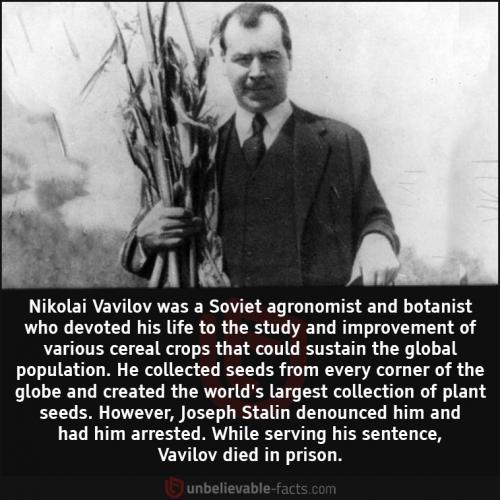 242994268_4292135647565251_1887459137447921005_n