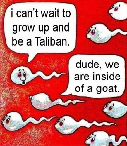 taliban01
