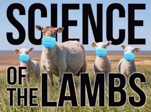 trust the science15