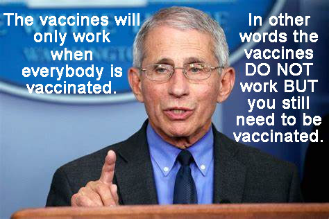 Vaccines004