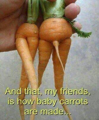 BABY CARROTS