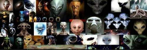 00:52:51 GMT-0500 (CDT)