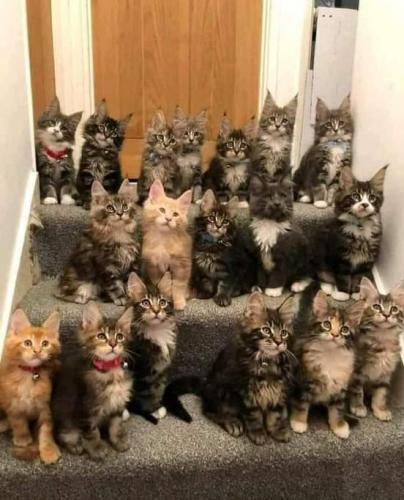 08:10:51 GMT-0700 (MST)