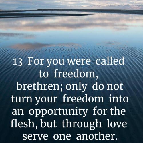 Screenshot_20210915-073435_Bible