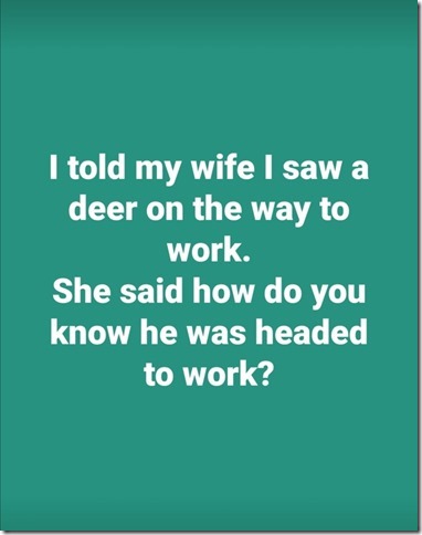 cid4XwffVmm6naVdB4yNyeS