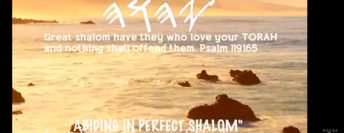 Screenshot_20210904-102106~2