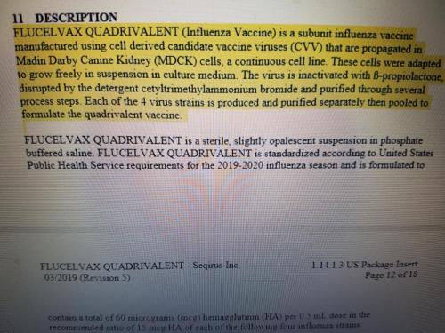 Flucelvax_Quadrivalent