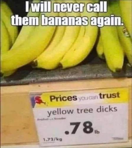 241329483_543199443430370_6247039552330907868_n