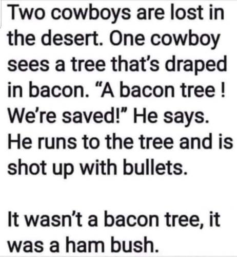 facebook_1631282145409_6842093227620859132_405026463130806