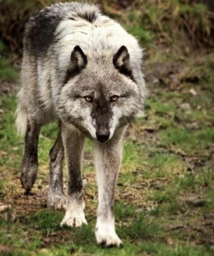 8eb2abcd48f2e124210c5ba7398391a7