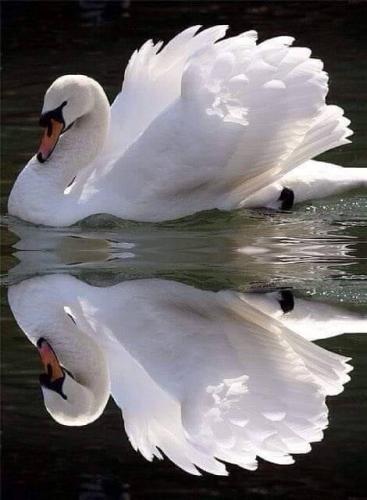 ,                                                                                                                                                                                                                       0   9a