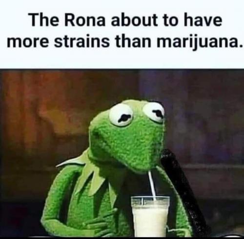 FB_IMG_1631126390140