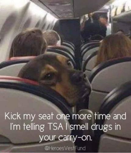 11:11:18 GMT-0500 (CDT)