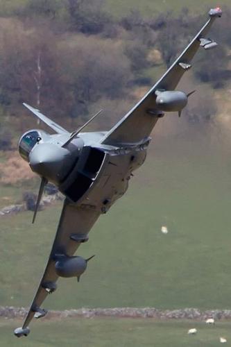 242566216_4402943179791868_5467677921478439148_n