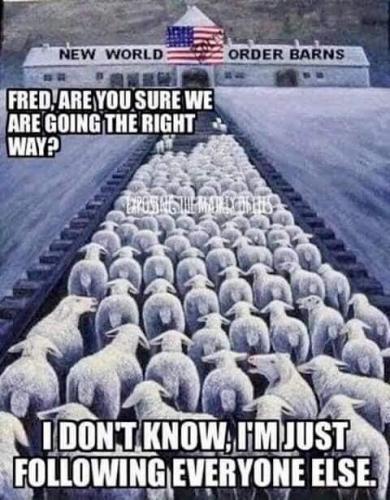 FB_IMG_1631703460784