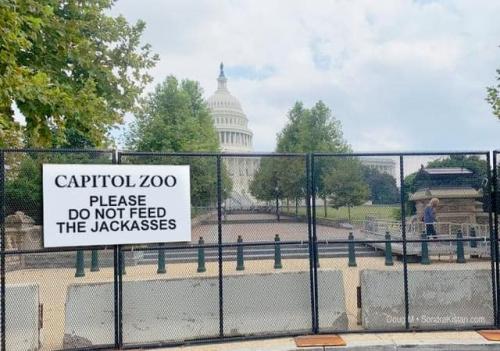 242384575_10222337698845972_2507364085845232300_n