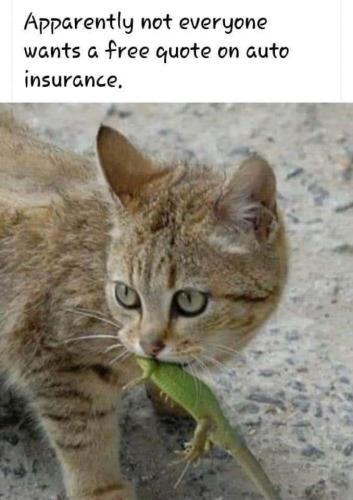 FB_IMG_1631742335407