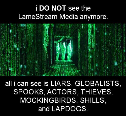 msm156