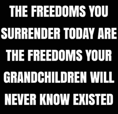 2021-09-17_14-46-30 Rhe Freedom You Surrender