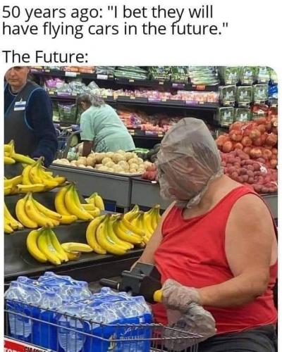 photo_2021-09-03_23-08-26