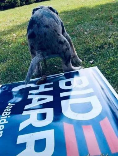 Fuck the Joe & the hoe