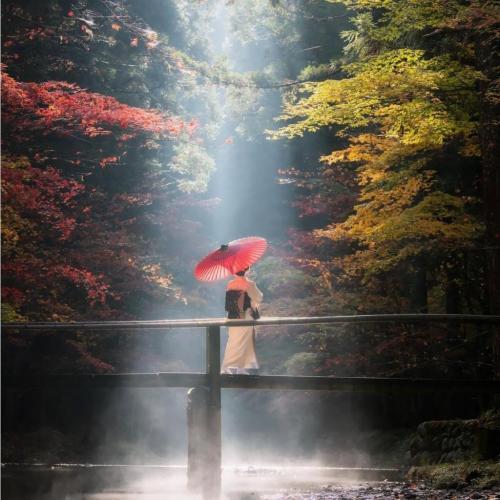 242594916_408403660626882_3160184191211166792_n